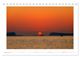 Thumbnail-14