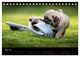Thumbnail-10