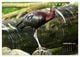 Thumbnail-11