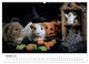 Thumbnail-11