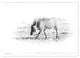 Thumbnail-13