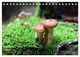 Thumbnail-12