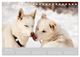 Thumbnail-9