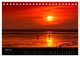 Thumbnail-9