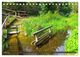 Thumbnail-9