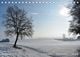 Thumbnail-11