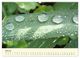 Thumbnail-11