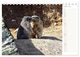 Thumbnail-9