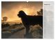 Thumbnail-12