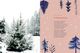 Thumbnail-12