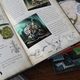 Thumbnail-8