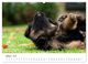 Thumbnail-12