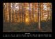 Thumbnail-11