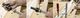 Thumbnail-8