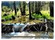 Thumbnail-9