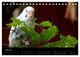 Thumbnail-11