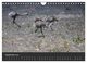 Thumbnail-14