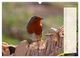 Thumbnail-11