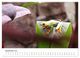 Thumbnail-14