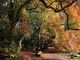 Thumbnail-3