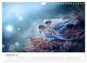Thumbnail-14