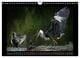 Thumbnail-14