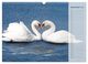 Thumbnail-11