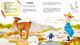 Thumbnail-2