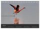 Thumbnail-12