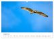 Thumbnail-9