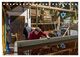 Thumbnail-14