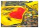 Thumbnail-11