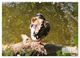 Thumbnail-12