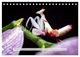 Thumbnail-14