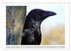 Thumbnail-14