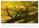Thumbnail-12