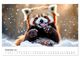 Thumbnail-14
