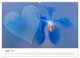 Thumbnail-13