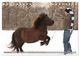 Thumbnail-14