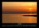 Thumbnail-11