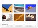 Thumbnail-12