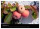 Thumbnail-14