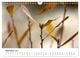 Thumbnail-14