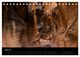 Thumbnail-10