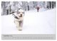 Thumbnail-14