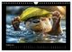 Thumbnail-10