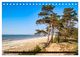 Thumbnail-14