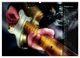 Thumbnail-13