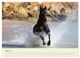 Thumbnail-10