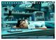 Thumbnail-11